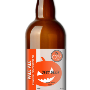 2.4 PALE ALE d’inspiration PUMPKIN SPICE ALE